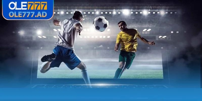 Các thể loại được sử dụng cược chấp